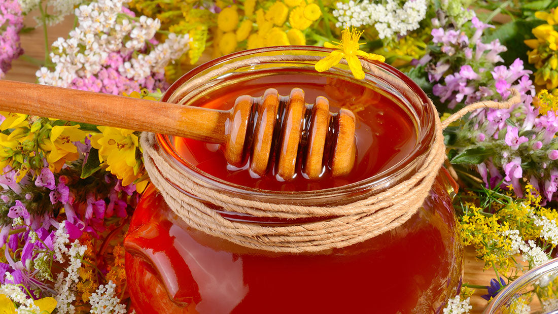 Beehive Honey Super Production Backyard Swarming Single Brood Chamber Honeybee Yield